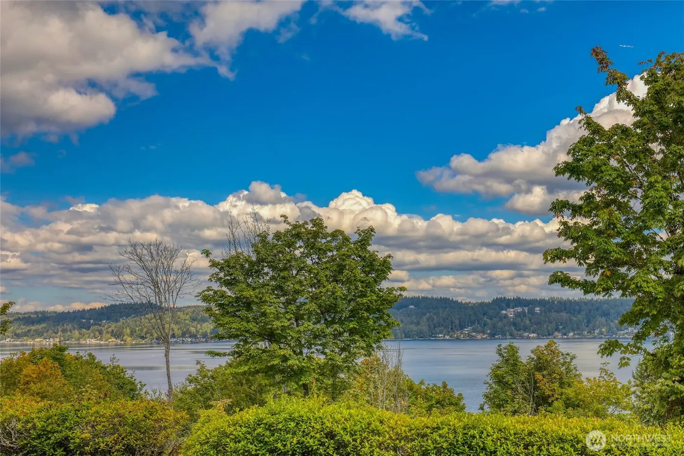 8003 Sand Point Way NE B23, Seattle: photo 1 of 8