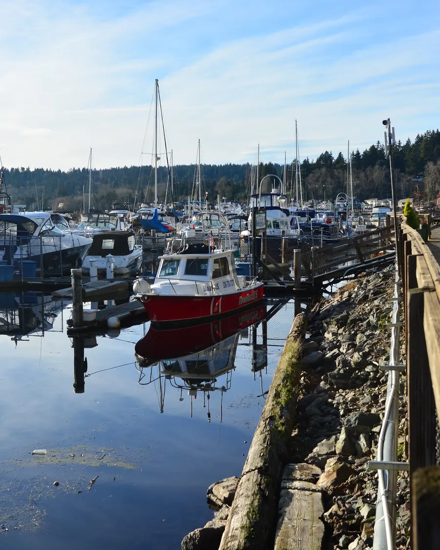 The marina at Kenmore, at the north end of Lake Washington