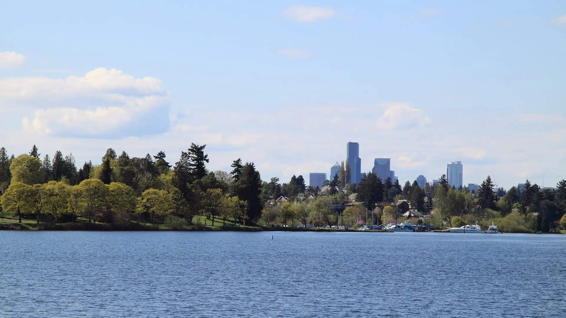 Lake Washington with the Seattle skyline on the far shore